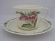 Noritake Conservatory  7915 Cup & Saucer