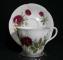 Royal Albert Royal Canadian Rose Cup & Saucer